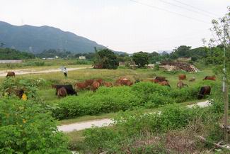 image005RL.jpg