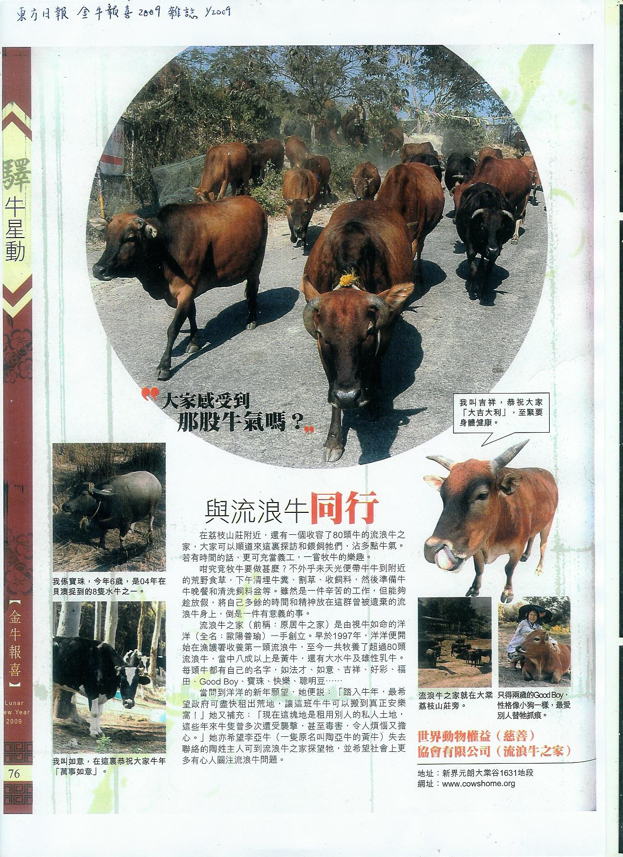 east mag
