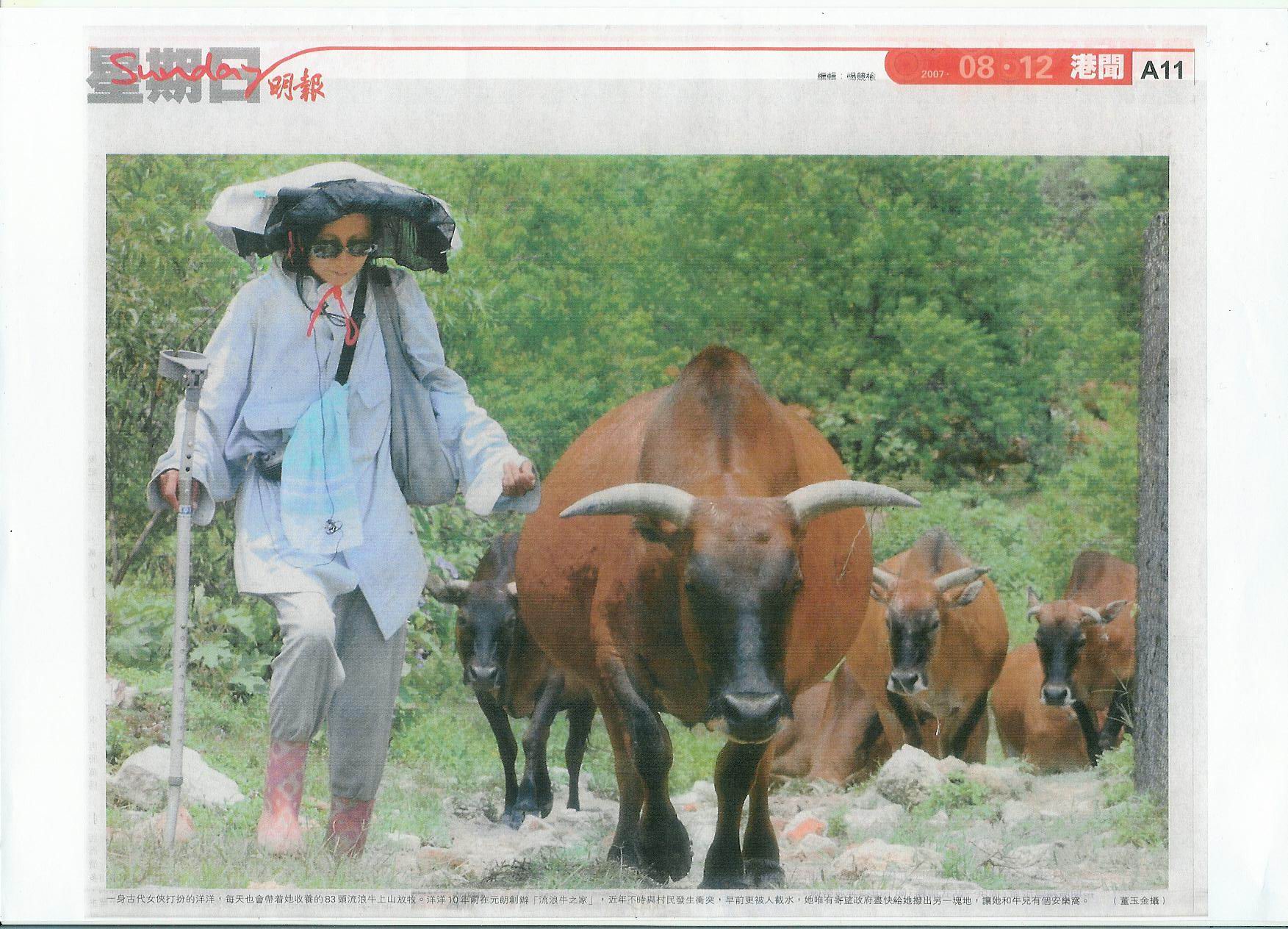 MingPao