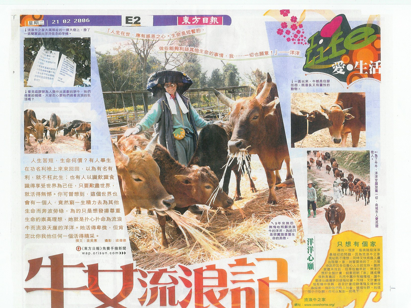 News